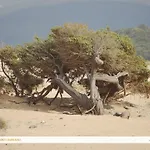 Il Pozzo Dei Desideri 3*