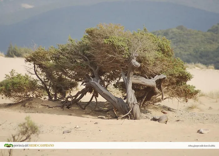 Il Pozzo Dei Desideri 4*